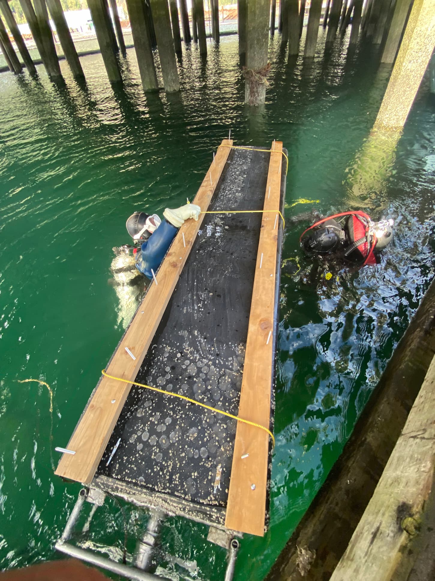 Commercial divers installing new floatation billet under a wharf on Vancouver Island